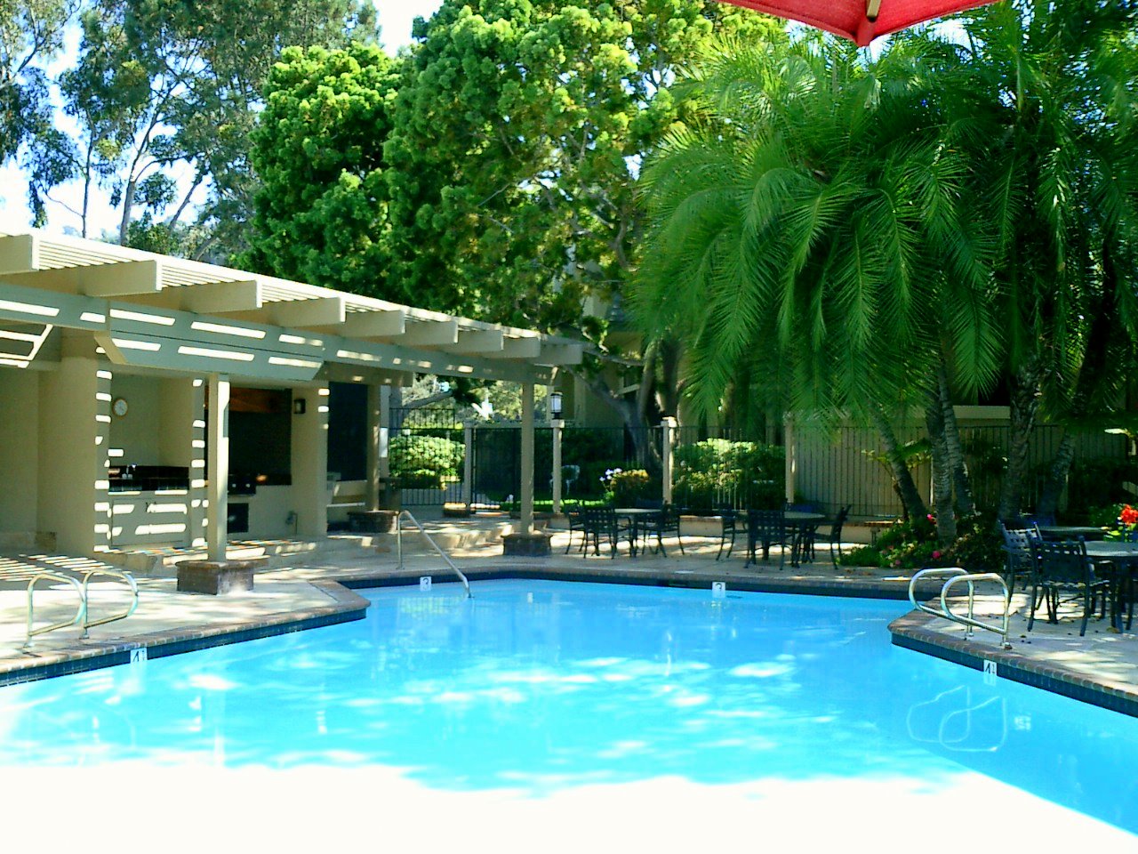 Our beautiful pool and spa